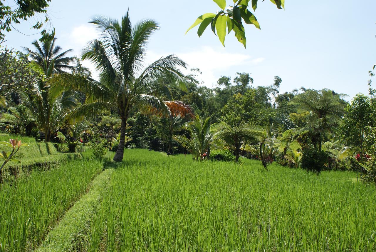 Prana Dewi Mountain Resort جاتيلويه المظهر الخارجي الصورة