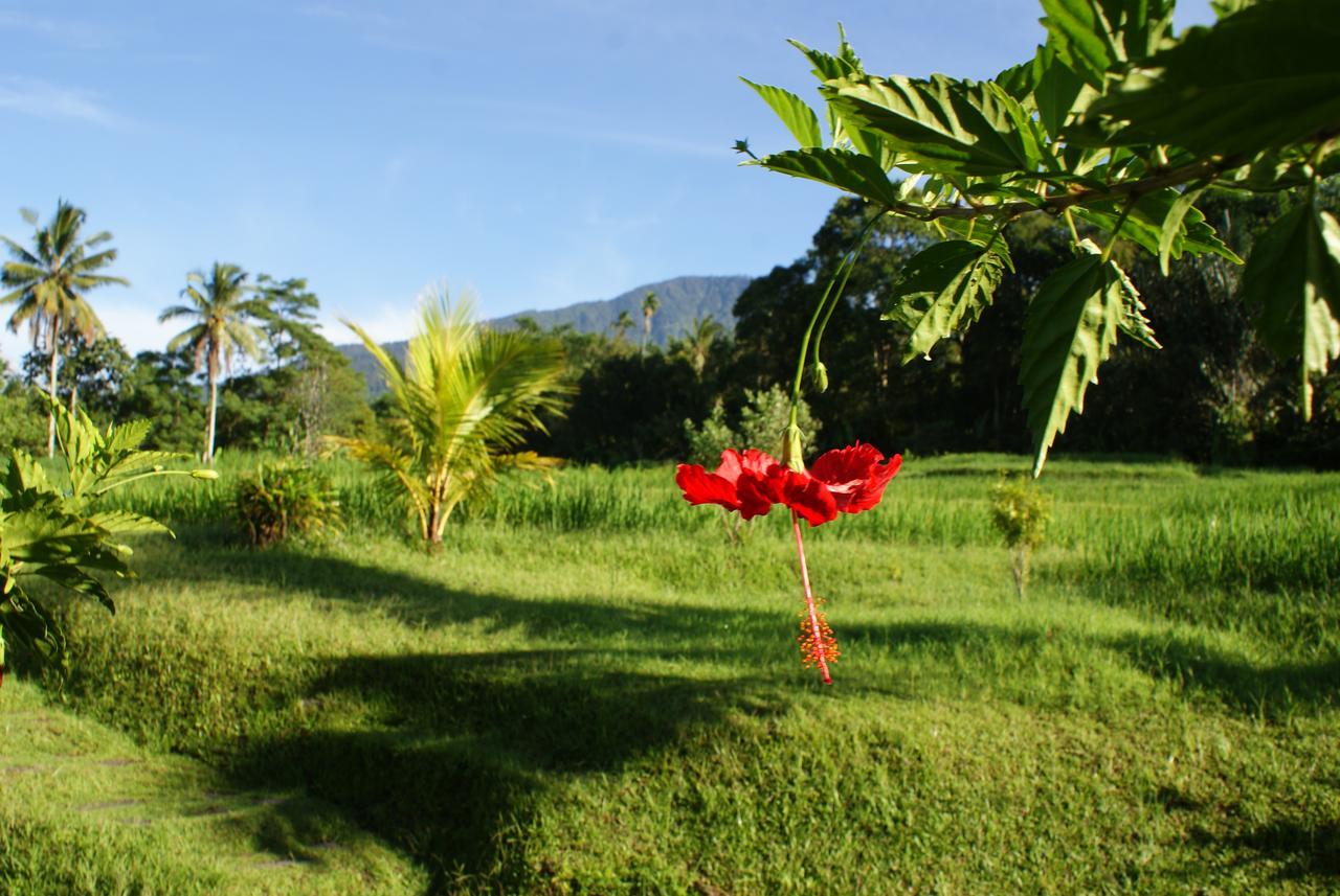 Prana Dewi Mountain Resort جاتيلويه المظهر الخارجي الصورة