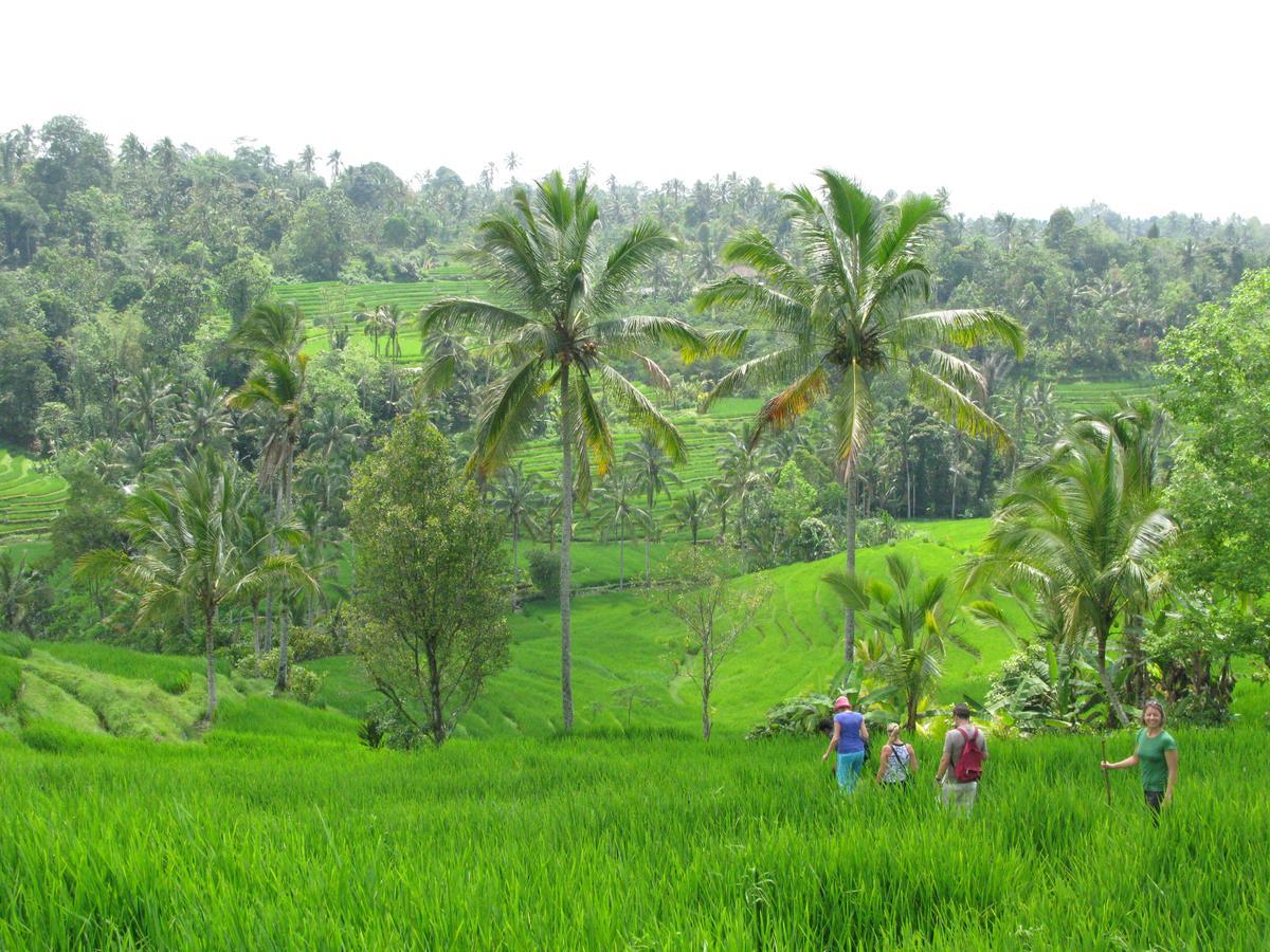 Prana Dewi Mountain Resort جاتيلويه المظهر الخارجي الصورة