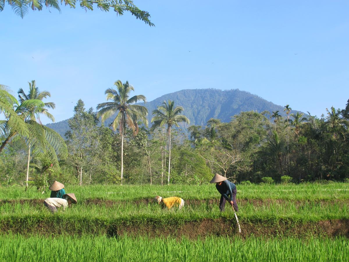 Prana Dewi Mountain Resort جاتيلويه المظهر الخارجي الصورة