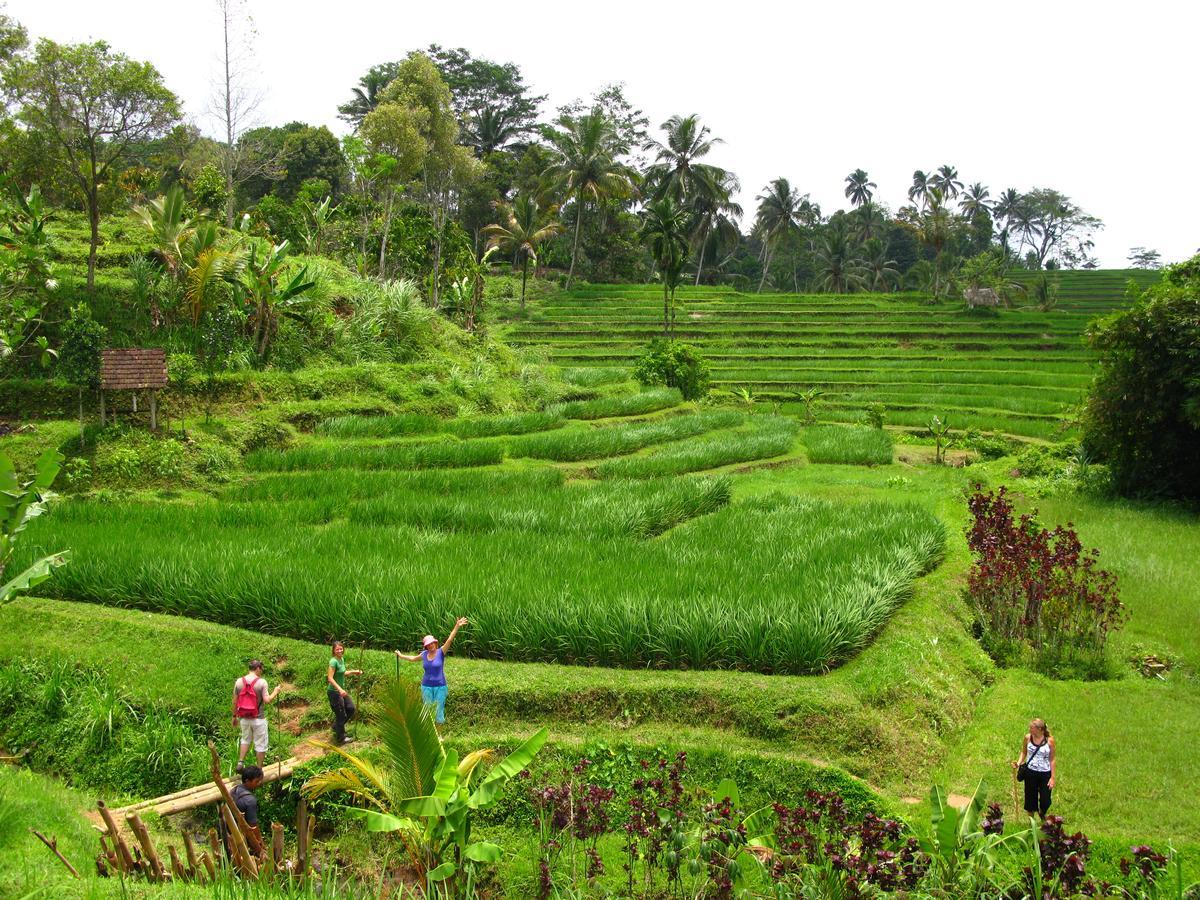 Prana Dewi Mountain Resort جاتيلويه المظهر الخارجي الصورة