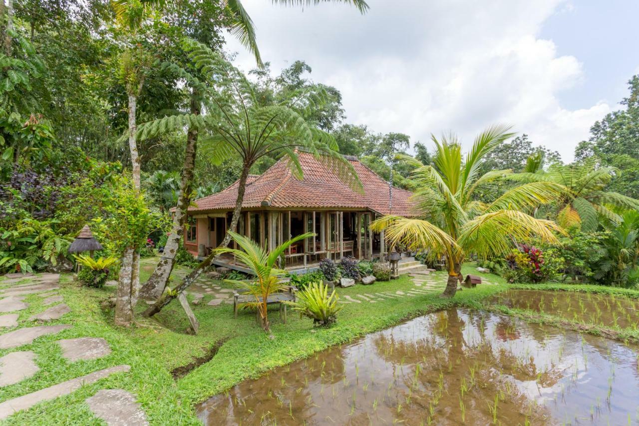 Prana Dewi Mountain Resort جاتيلويه المظهر الخارجي الصورة